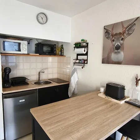 Confortable Au Pied Des Pistes Avec Balcon - Fr-1-804-64 Apartment *