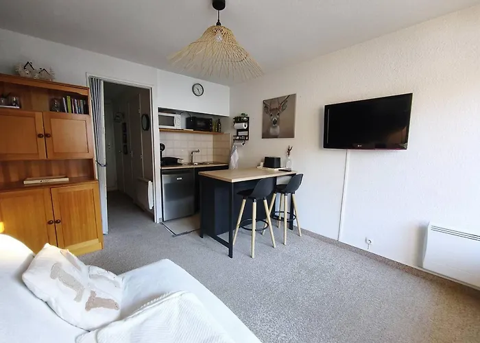 Confortable Au Pied Des Pistes Avec Balcon - Fr-1-804-64 Apartment